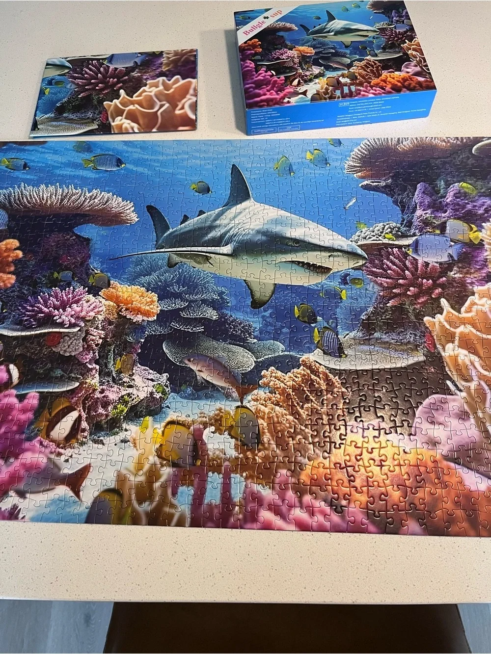 Shark Whale Puzzle 1,000 Pieces